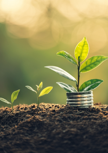 imágenes medianas web